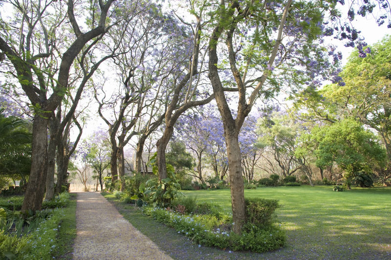 Hotel Nesbitt Castle Bulawayo Esterno foto